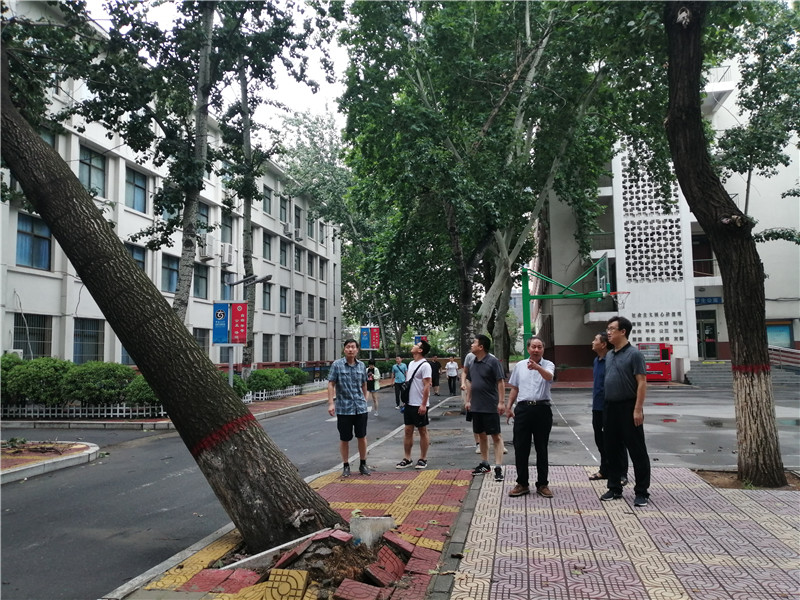 1627463354760099291.jpg 查看各区域土方冲垮、道路损坏、树木倒伏情况2.jpg